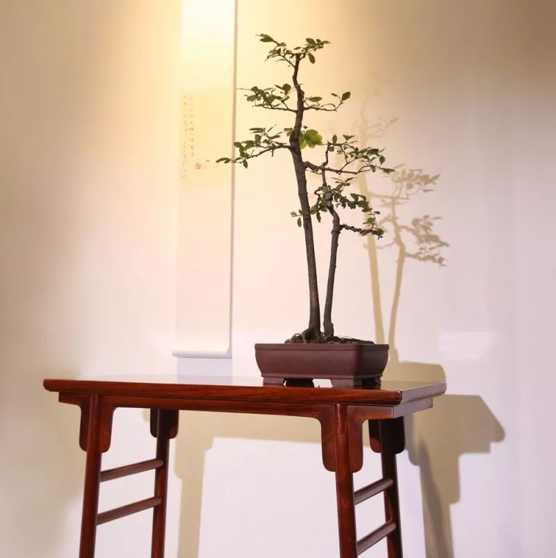 紅木家具圖片