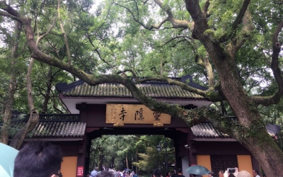 老人用了多年的切菜板竟是百年金絲楠！改造后讓人驚訝！