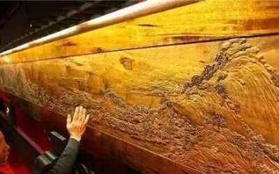 中國最古老的五棵樹，比金絲楠木還珍貴，第一壽命超過五千年